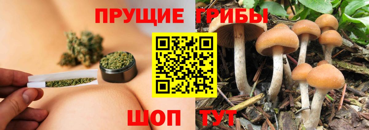 Галлюциногенные грибы Cubensis  Вход с VPN  Аксай 